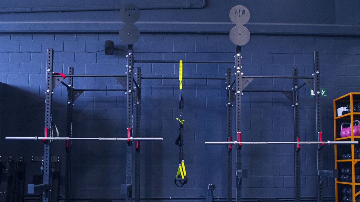 Suspension trainer ST 1.0