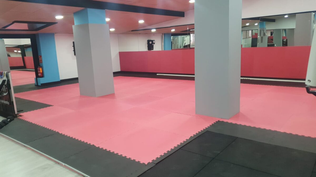 Tatami puzzle