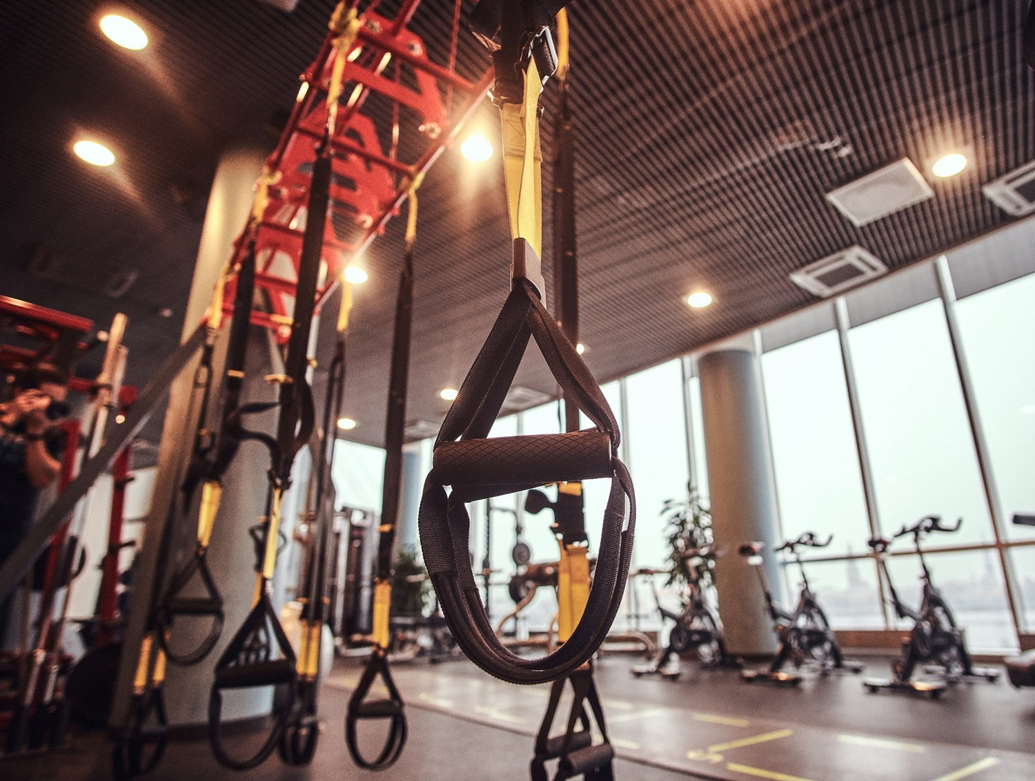 Elementos Suspensión