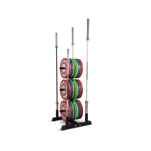 Rack de discos y 4 barras