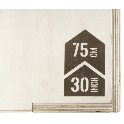 Cajón pliometría madera 2.0