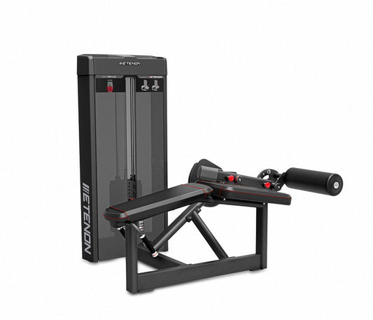 PC20 Femoral Tumbado