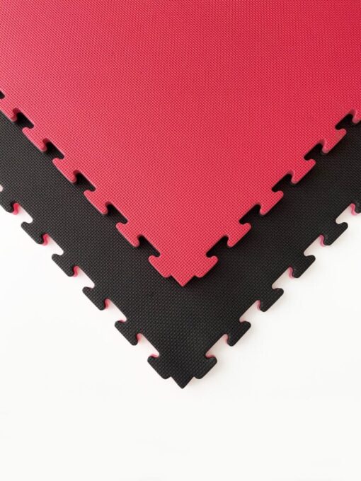Tatami puzzle