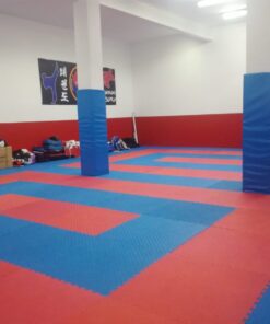 Tatami puzzle 5 líneas