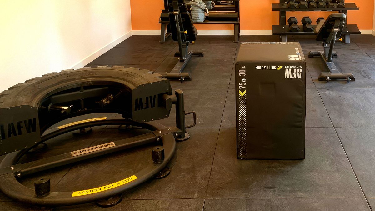 Rueda de entreno Tyre Flip