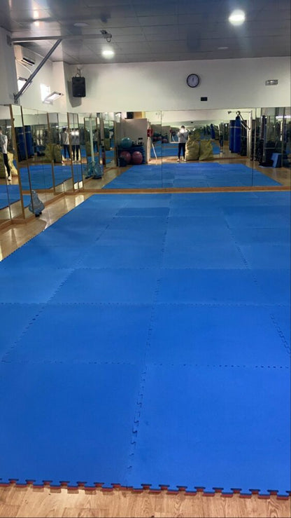 Tatami puzzle