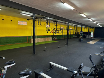 Suelo de gimnasio por rollo Sport Optimus