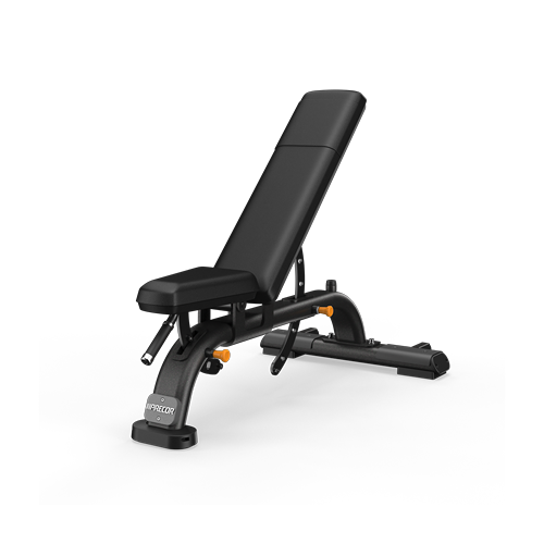 Discovery Multi-Adjustable Bench DBR0119