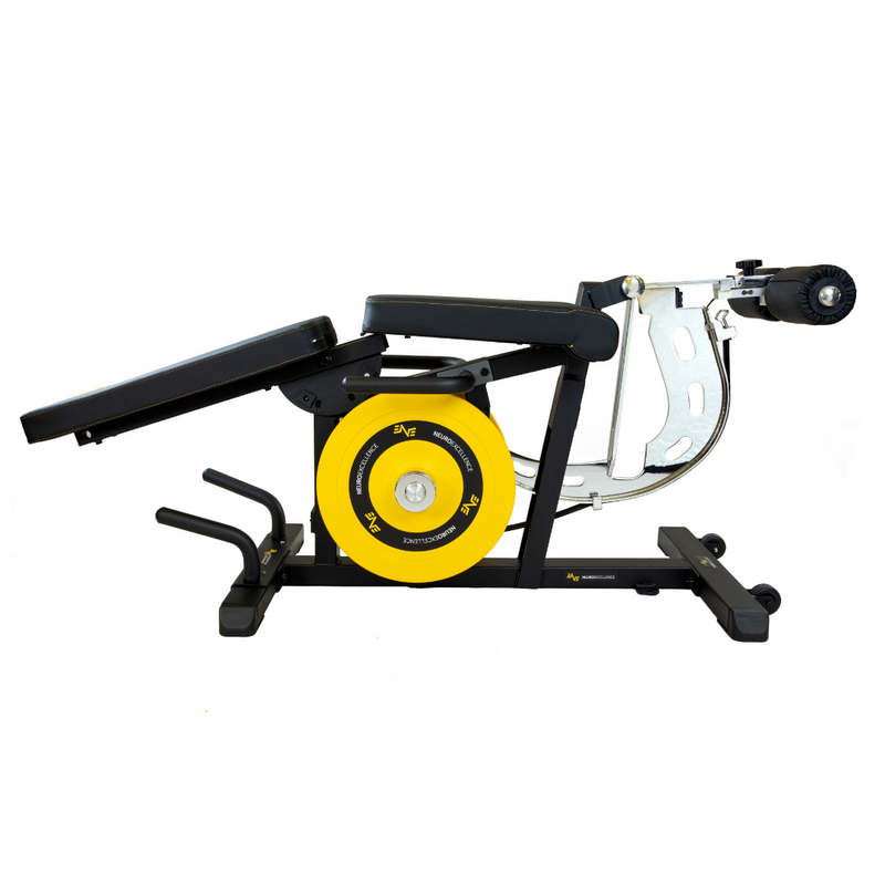Acceleration Leg Curl/ Extension + NexSo Included