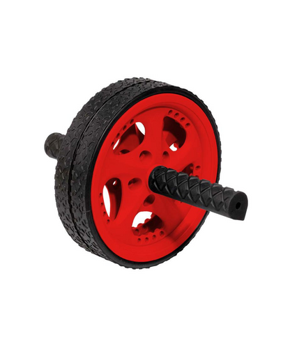 P2I Exercise Wheel